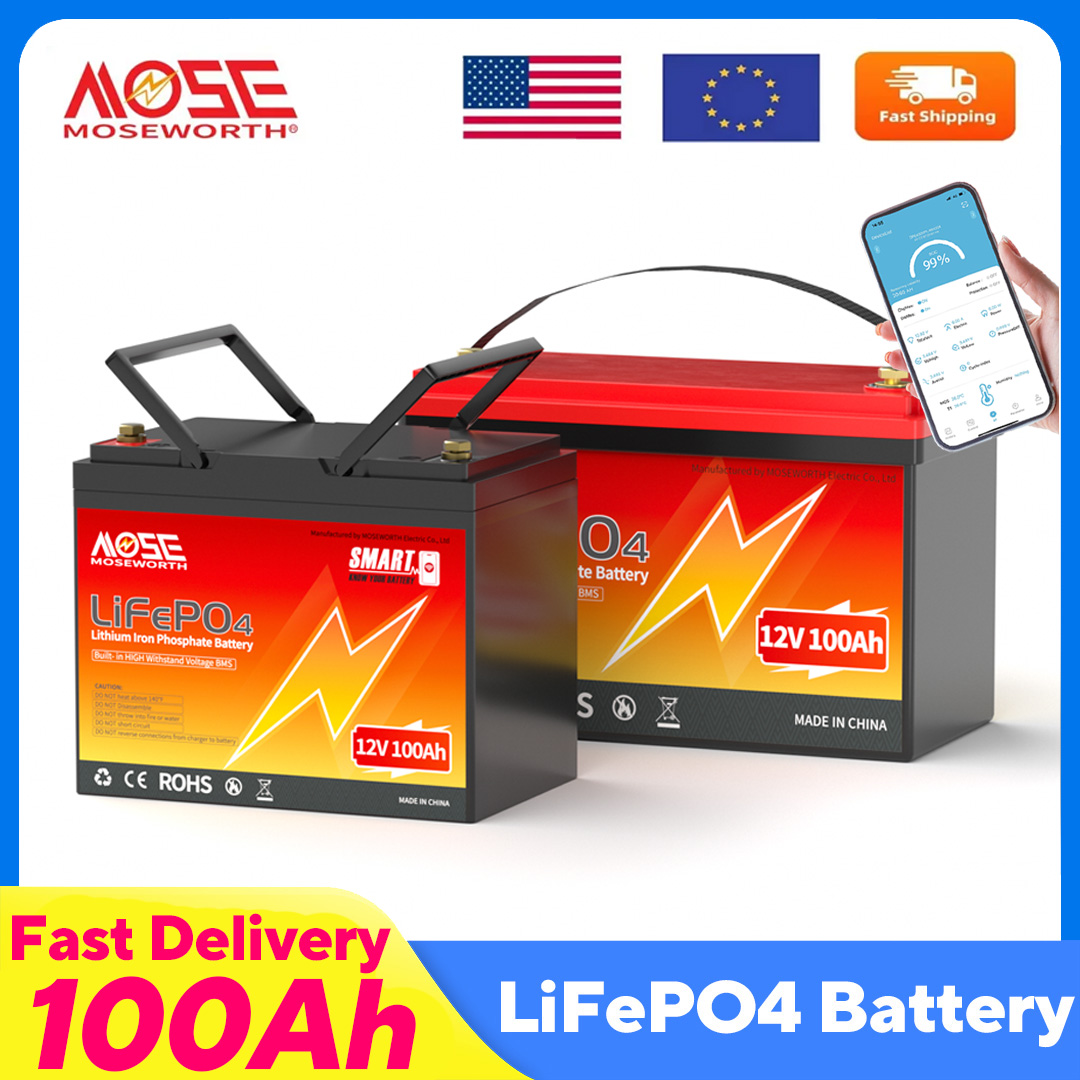 MOSEWORTH LiFePO4 12V 100Ah แบ - Lifepo4 12V 100Ah Bms Bluetooth บทวิจารณ์และราคา